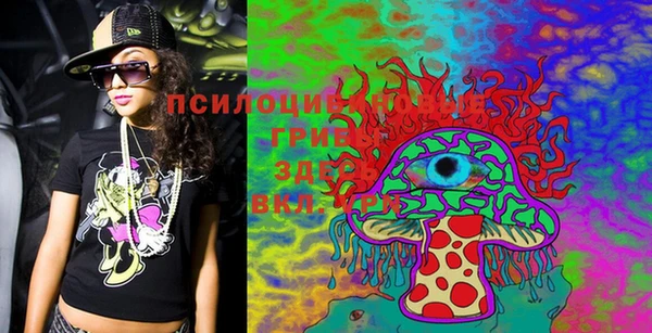PSILOCYBIN Саяногорск