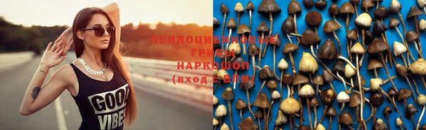 PSILOCYBIN Саяногорск