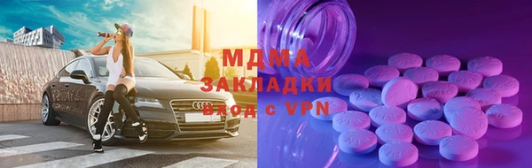 индика Козельск