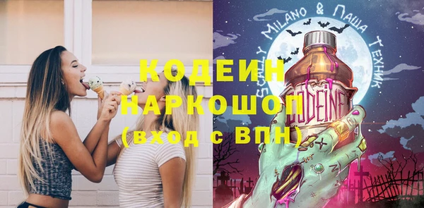 индика Козельск