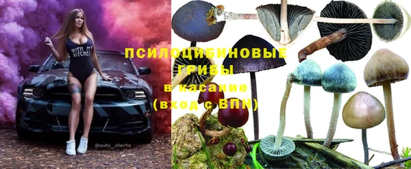 круглые Корсаков