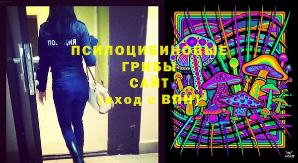 круглые Корсаков