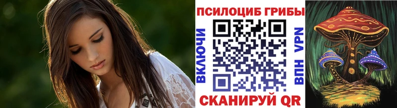 где найти наркотики  Кораблино  Псилоцибиновые грибы ЛСД 